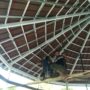 Dodecagon pavilion ENVI Lebanon